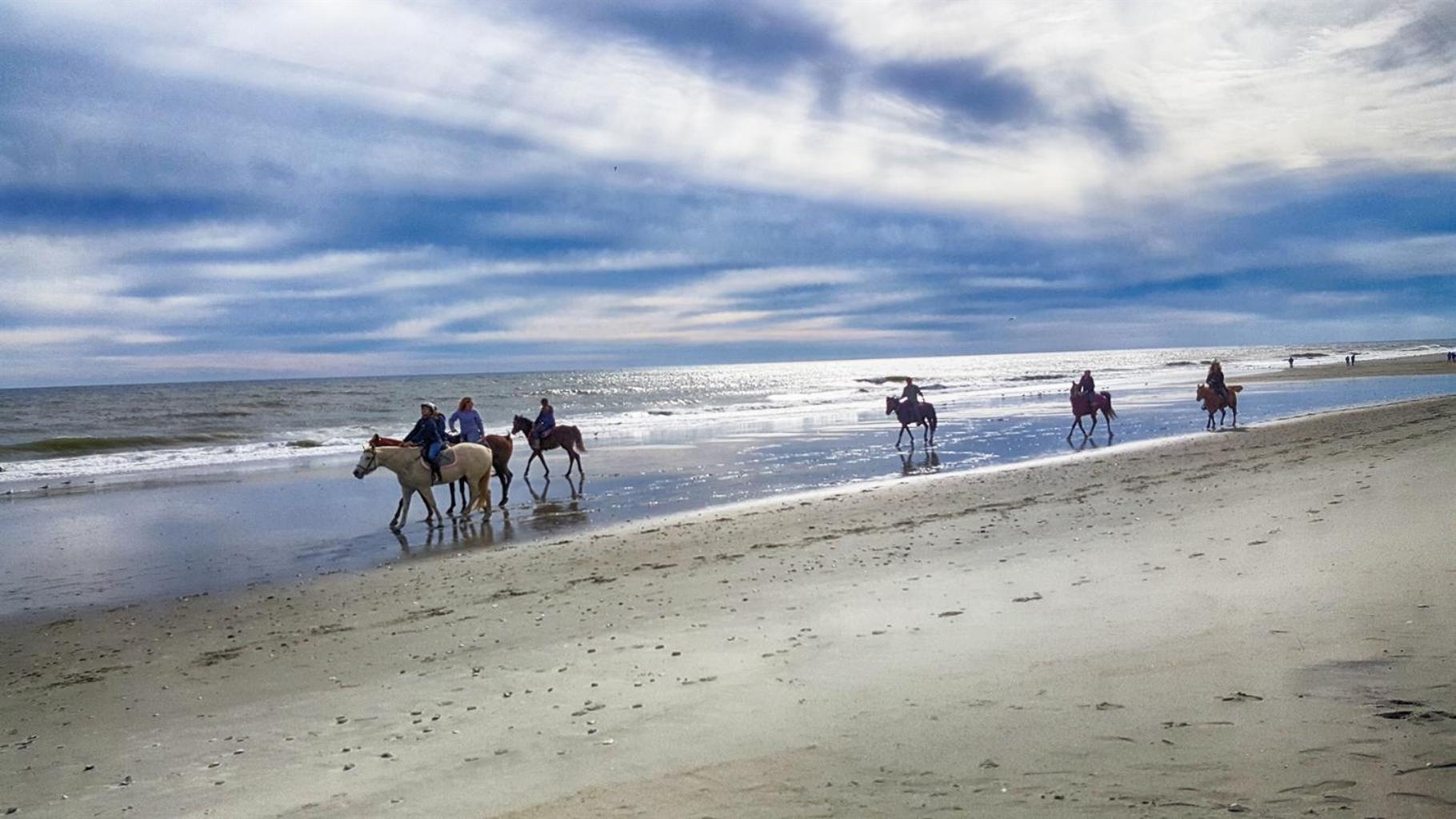 Romantic Oceanfront View, Discounted, Pools Myrtle Beach Ngoại thất bức ảnh